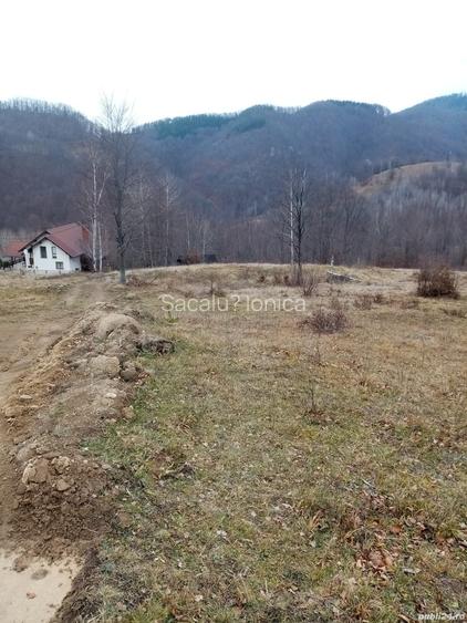Teren de 10000 mp, în Lepșa