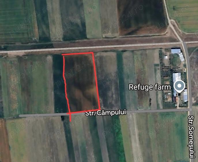 Teren de 8000 mp, în Vetiș