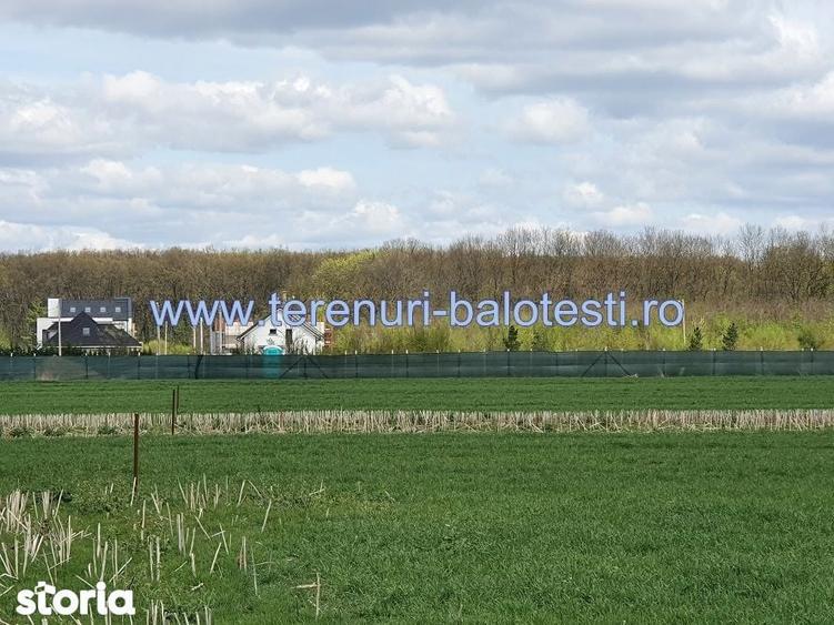 Teren de 800 mp, în Balotești