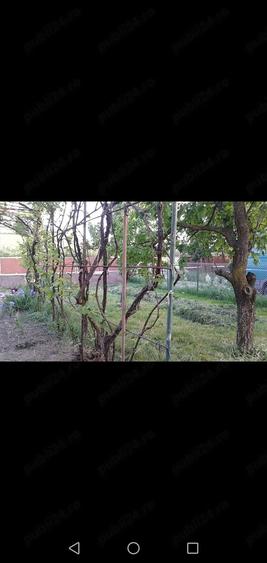 Casă cu Teren 1422 Mp în Căianu