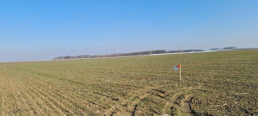 Teren de 941 mp, în 1 Decembrie