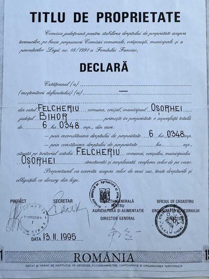 Spațiu comercial, în Felcheriu