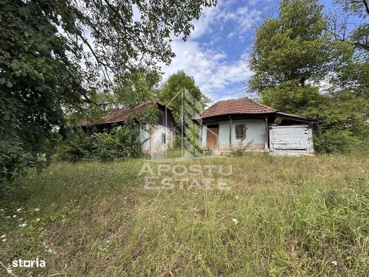 Spațiu comercial, în Fornădia