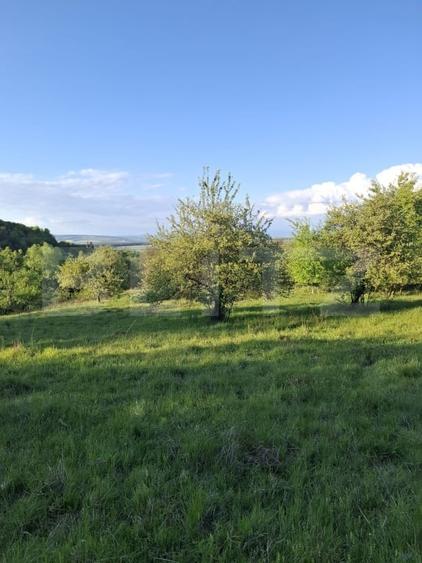 Teren Construcții extravilan de 10000 mp, în Tărlungeni