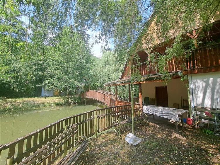 Casă individuală cu 6 camere cu Teren 2455 Mp în Pădurea Neagră