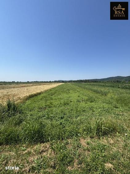 Teren de 2540 mp, în Mihăești