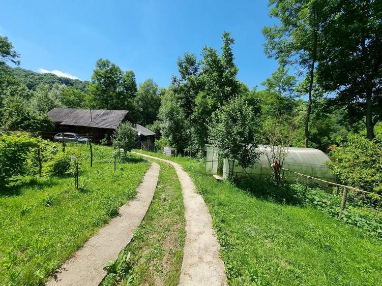 Casă individuală cu 3 camere cu Teren 5000 Mp în Plaiu (Provița de Sus)