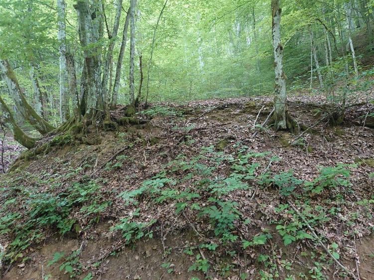 Teren extravilan de 1632 mp, în Bulzeștii de Sus