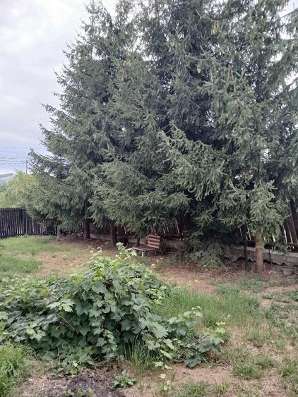 Casă cu 3 camere cu Teren 400 Mp în Central