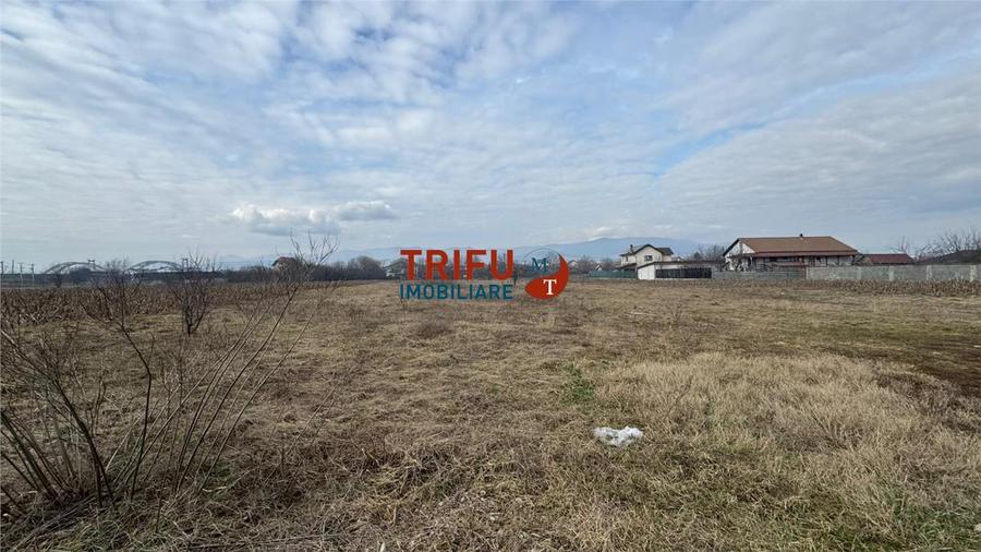 Teren Construcții intravilan de 464 mp, în Partoș