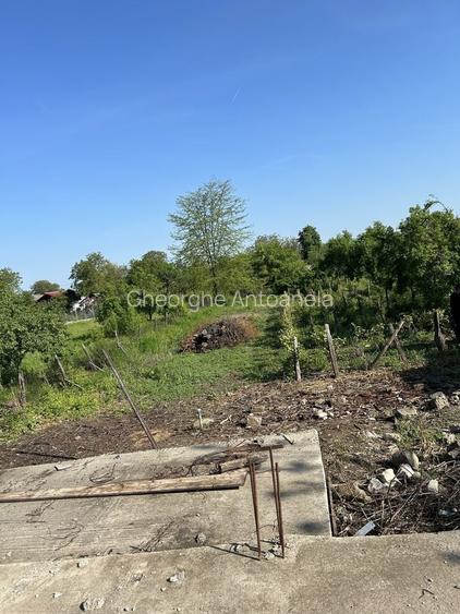Teren intravilan cu fundatie si beci, Cocorasti Grind Prahova