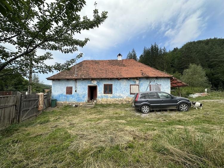 Casa traditionala la Valea Zalanului - 7