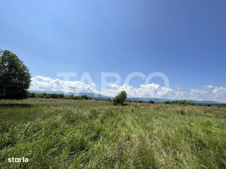 Teren intravilan 5000 mp zona Turnisor din Sibiu - 1
