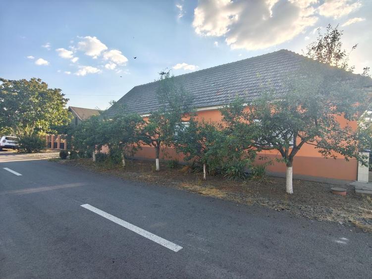 Casă individuală cu 5 camere cu Canalizare în Becicherecu Mic
