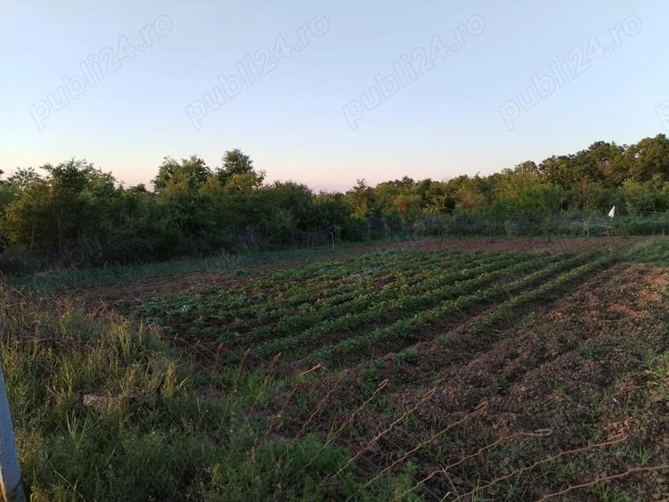 Teren de 888 mp, în Paleu