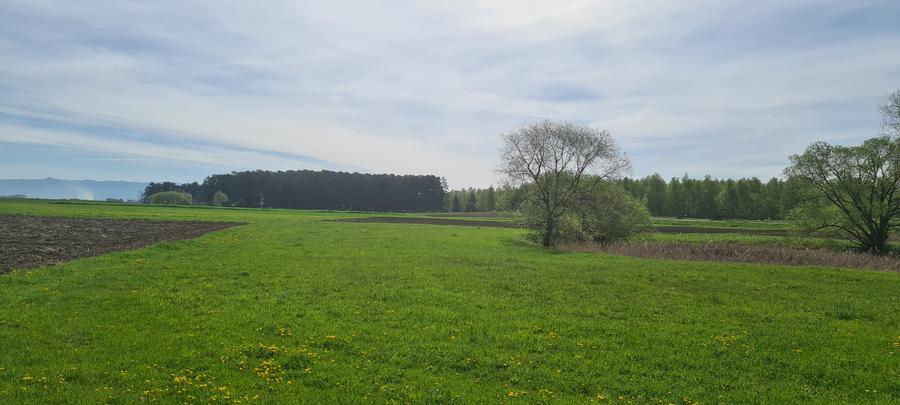 Teren agricol extravilan de 2100 mp, în Reci