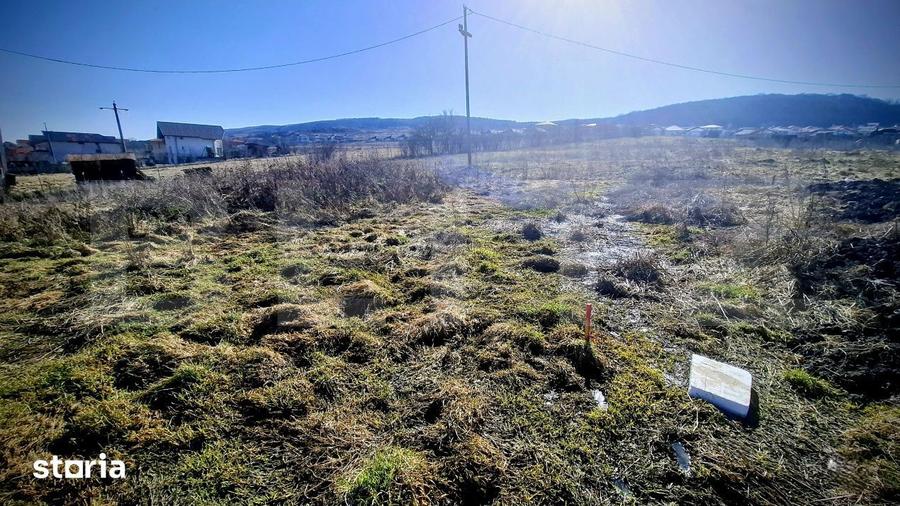 Teren de 556 mp, în Chinteni