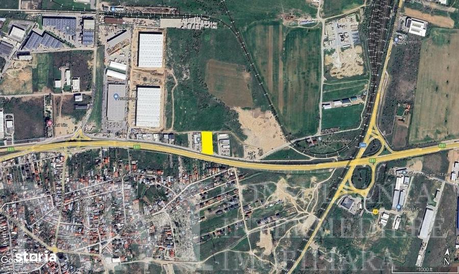 Spațiu comercial, în Theodor Pallady