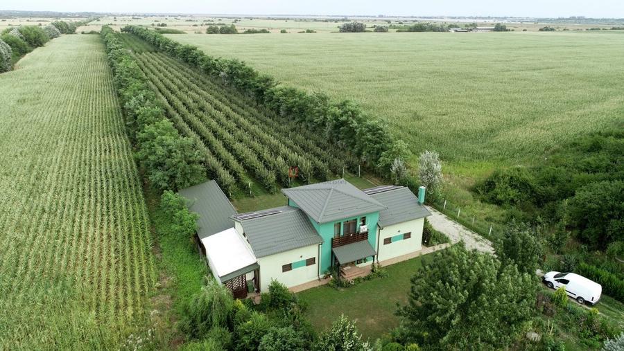 Casă individuală cu 5 camere cu Canalizare în Clinceni