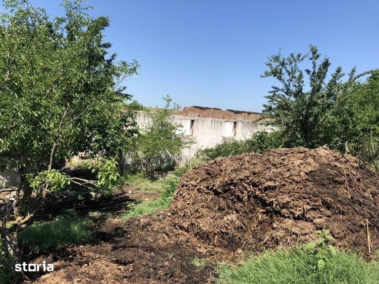 Teren de 9795 mp, în Rădoiești
