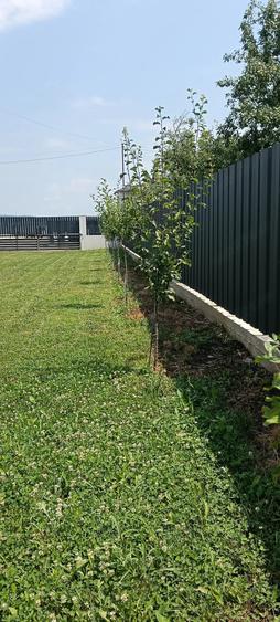 Casă cu 3 camere cu Teren 1000 Mp în Săcueni