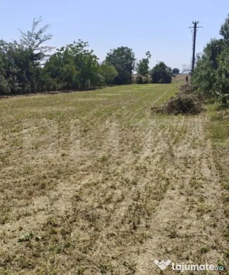 Casă cu 7 camere cu Teren 2200 Mp în Dobra
