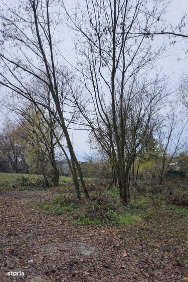 Teren de 670 mp, în Aninoasa