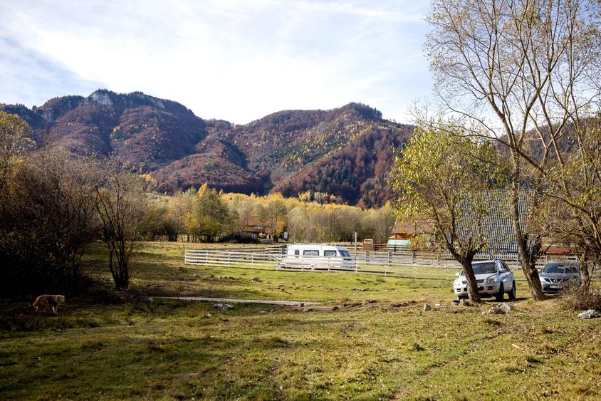 Teren Construcții intravilan de 2500 mp, în Tohănița