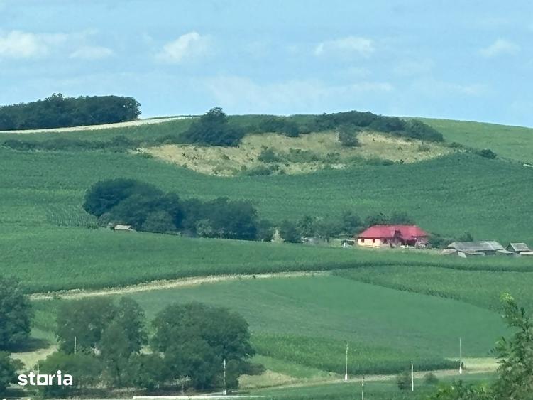 Casă cu 4 camere cu Teren 1100 Mp în Laslău Mic