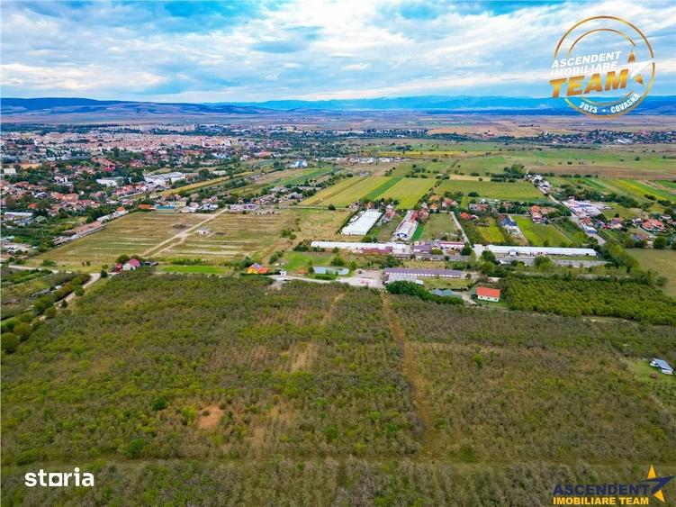 Teren de 6510 mp, în Ilieni