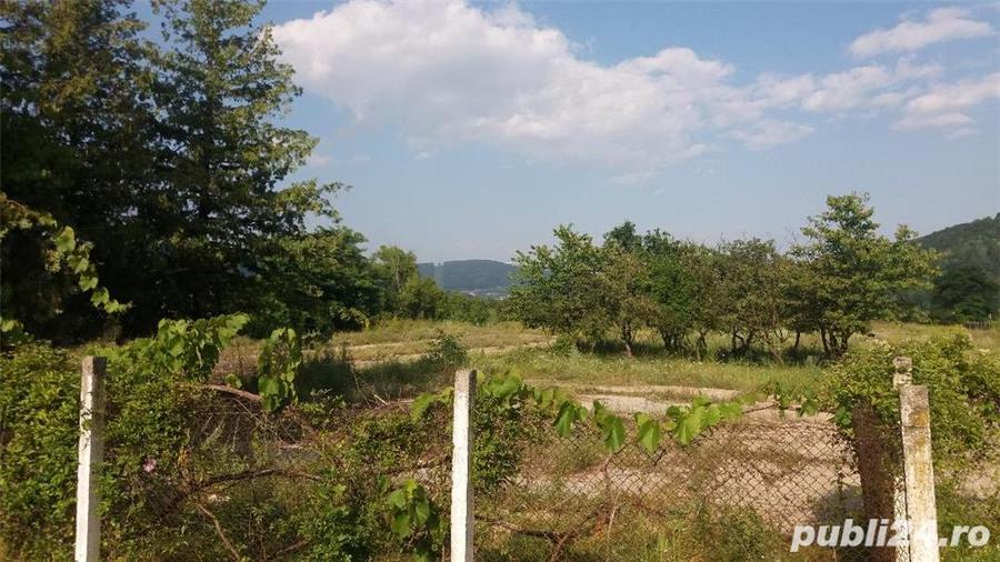 Teren de 1000 mp, în Alexandru cel Bun