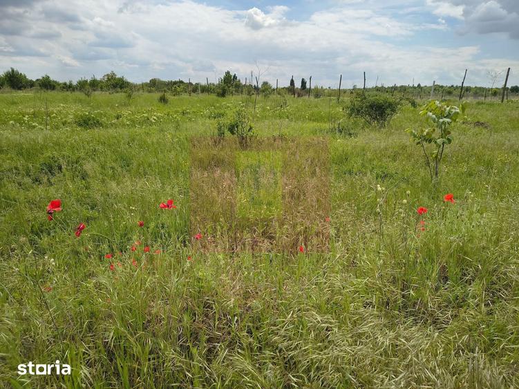 Teren de 3750 mp, în Giulești