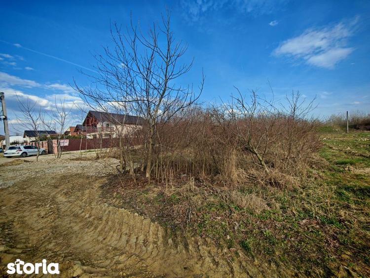 Teren intravilan 2273 mp in Pitesti, str. Mateias, iesire spre Campulu - 3