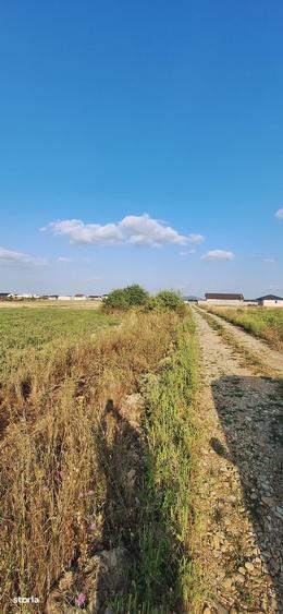 Cihei-teren intravilan ,langa fundatia Nesu - 5