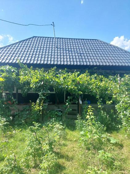 Casă cu 3 camere cu Teren 400 Mp în Exterior Vest