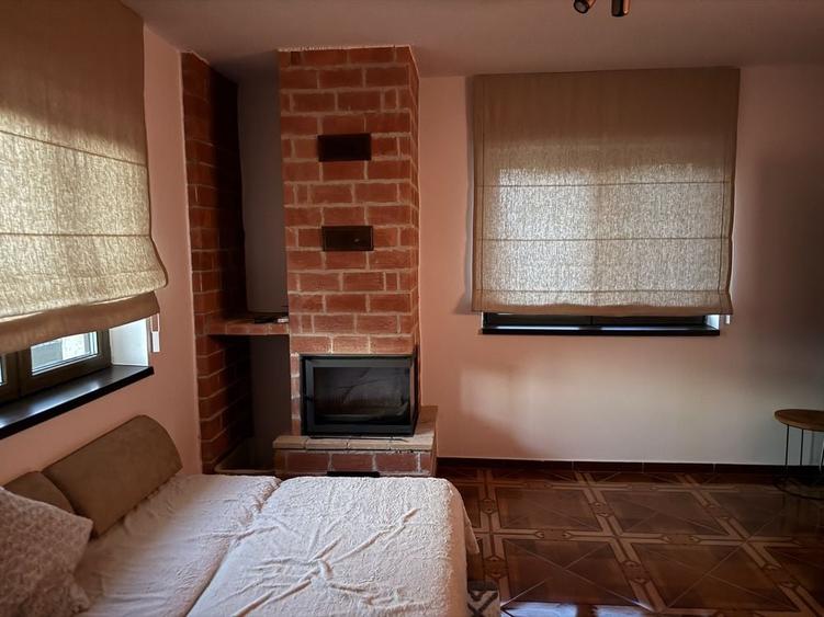 Vand casa Sura Mare - 4