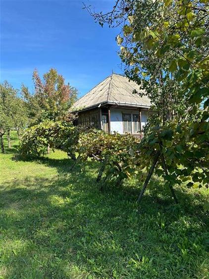 Teren intravilan de 4872 mp, în Antoceni