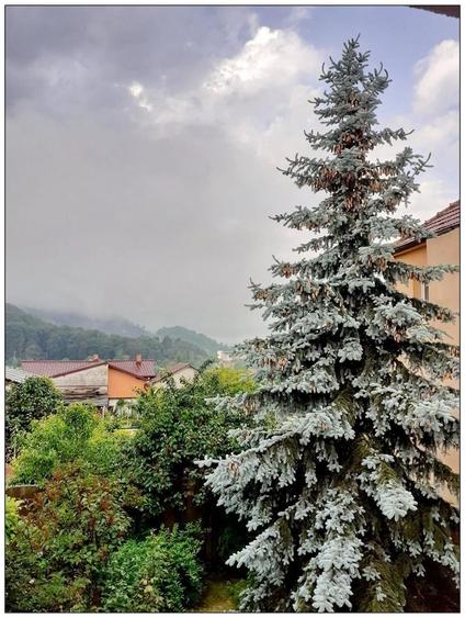 Casă individuală cu 6 camere cu Canalizare în Carierei