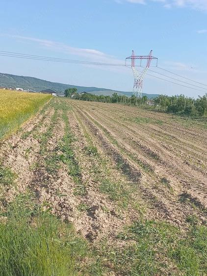 Teren de 5676 mp, în Oșorhei