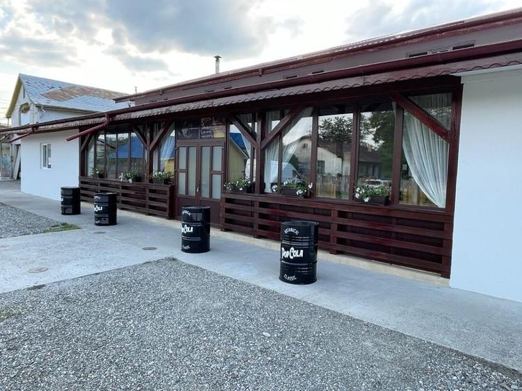Proprietate specială, de 1,000 mp, în Chintinici