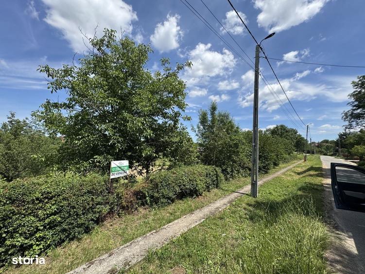 Teren intravilan 14.5 ari Viile Satu Mare - 1
