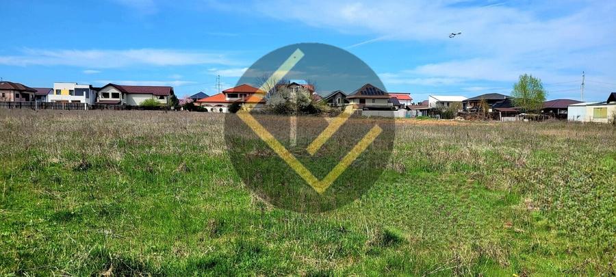 Teren Construcții intravilan de 4900 mp, în Cernica