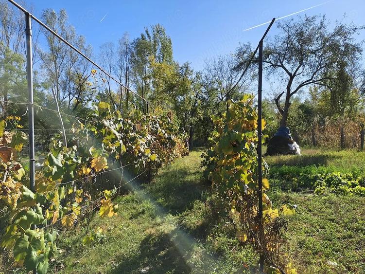 Casă cu Teren 950 Mp în Turbuța