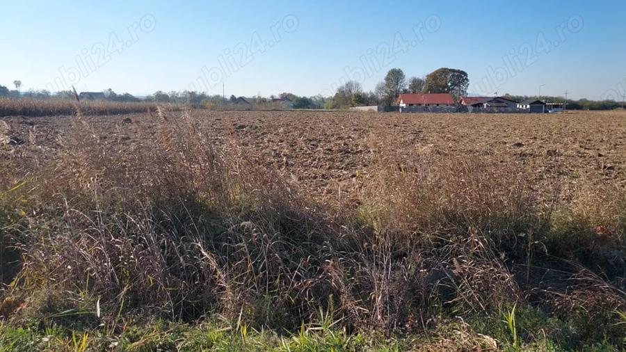 Teren de 2150 mp, în Băcia