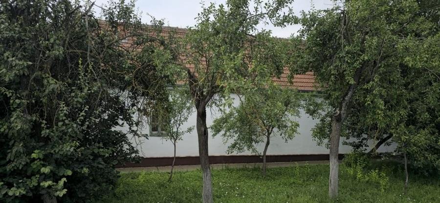 Casă cu 3 camere în Central