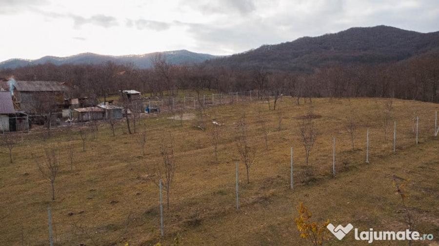 Teren cu suprafa?a de 5100mp amplasat intr-o zona superba de munte - 8