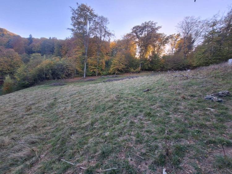 Teren Construcții intravilan de 2900 mp, în Dârste
