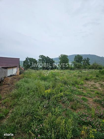 Teren pentru constructie casa P+E+M, 2 parcele, Pianu de Sus - 1