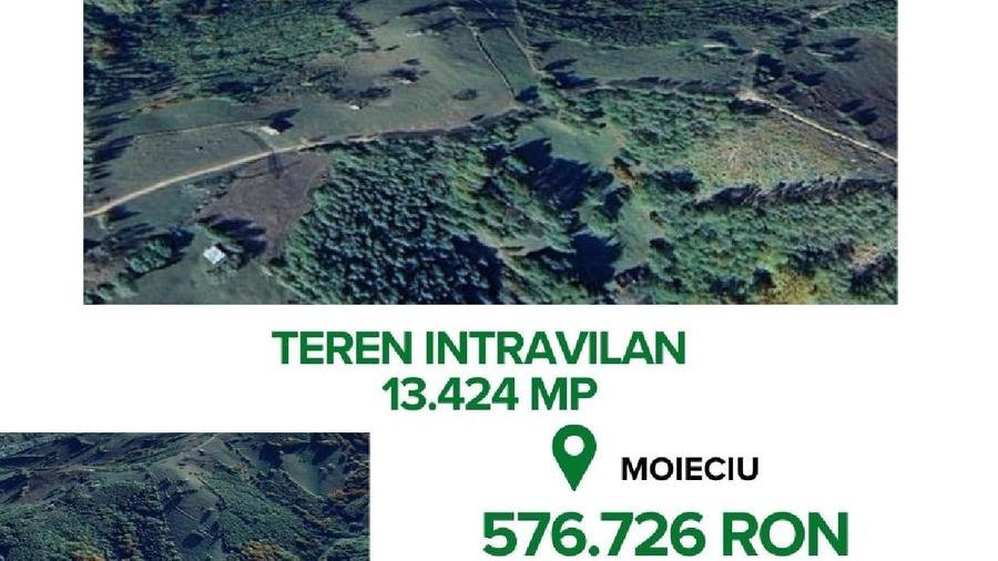 Teren Construcții intravilan de 13424 mp, în Bran