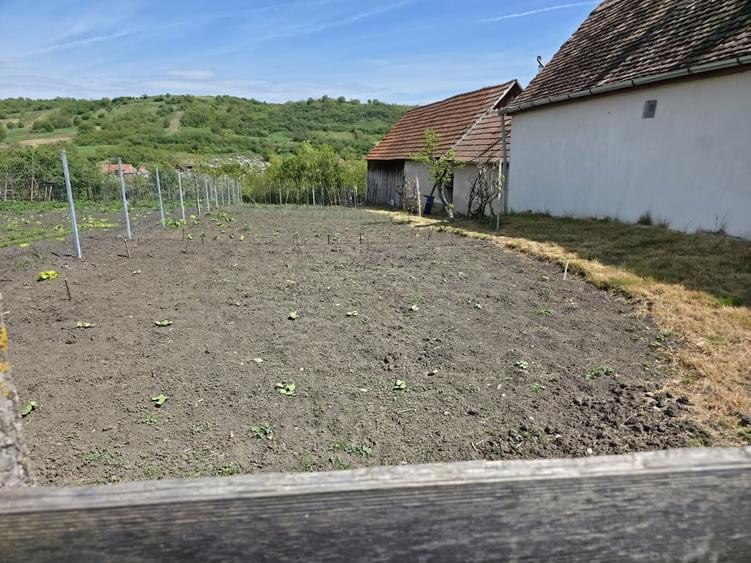 Casă cu 3 camere cu Teren 417 Mp în Central